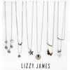 Collection of necklaces with various pendants on a white background, branded as Lizzy James.