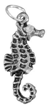 Sea Horse Charm